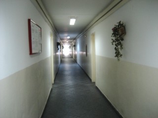 Timișoara