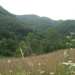View from Costesti Citadel