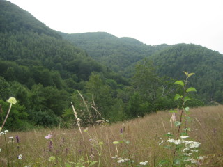 View from Costesti Citadel