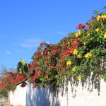 Vilcabamba Ecuador