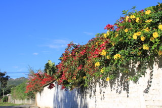 Vilcabamba Ecuador