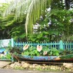 Bocas del Toro Panama