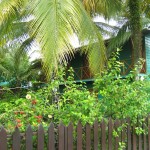 Bocas del Toro Panama