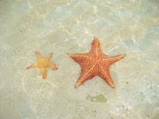 Bocas del Toro Panama