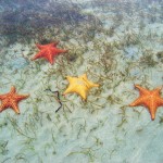 Bocas del Toro Panama