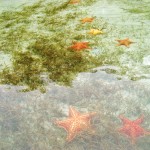 Bocas del Toro Panama