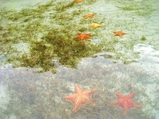 Bocas del Toro Panama
