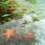 Bocas del Toro Panama