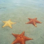 Bocas del Toro Panama