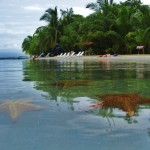 Bocas del Toro Panama