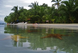 Bocas del Toro Panama