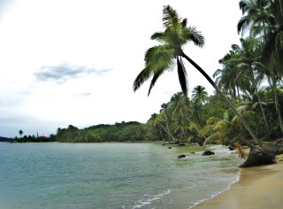 Bocas del Toro Panama
