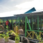 Bocas del Toro Panama