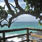 bocas del toro