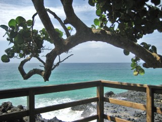 bocas del toro