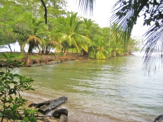 Bocas del Toro Panama