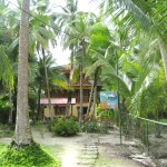Bocas del Toro Panama