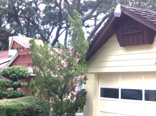 Pigeon House Orlando