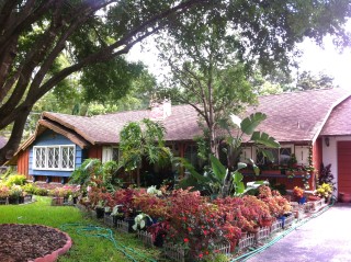 Pigeon House Orlando