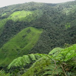 Vilcabamba Ecuador