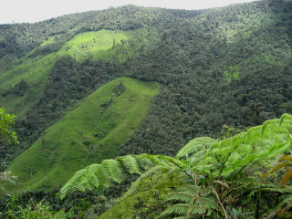 Vilcabamba Ecuador