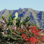 Vilcabamba Ecuador