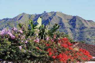 Vilcabamba Ecuador