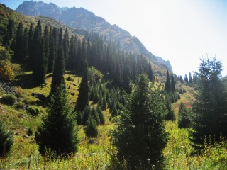 Ala Archa National Park