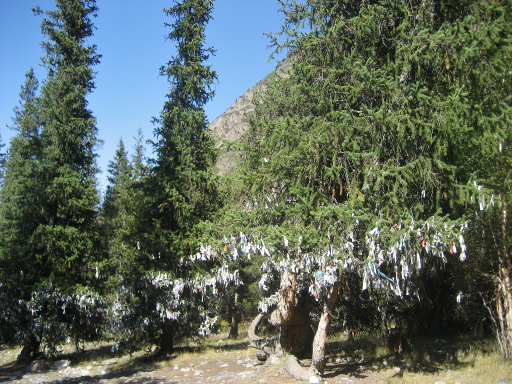 tree of wishes