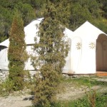 Ala Archa National Park - yurt
