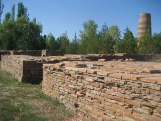 Burana Tower area