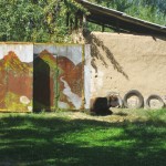 Adobe house and quiet cow on the way from burana tower