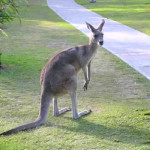 australia