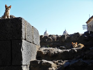 Roman theatre and Odeon