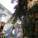Streets of Catania