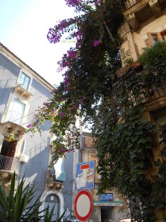 Streets of Catania