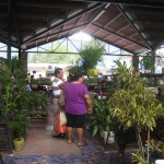 El Valle- Sunday Market