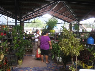 El Valle- Sunday Market