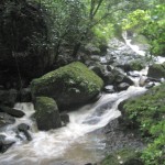 El Valle