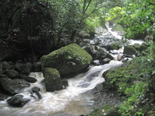 El Valle