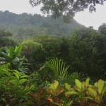 El Valle