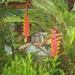 El Valle