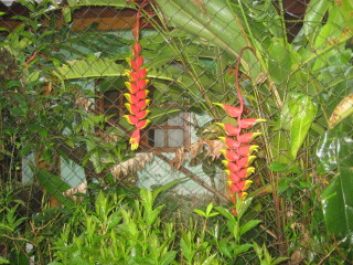 El Valle