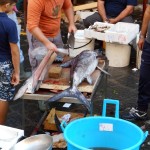 Catania- fish market
