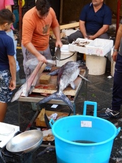 Catania- fish market