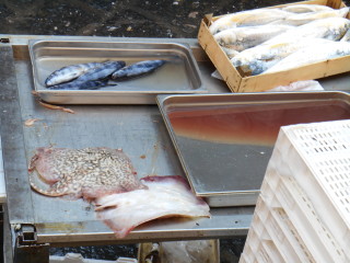 Catania- fish market