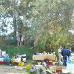 Saturday Farmer's Market near Catania Sicily