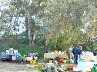 Saturday Farmer's Market near Catania Sicily