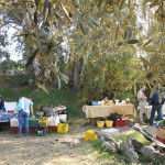 Saturday Farmer's Market near Catania Sicily