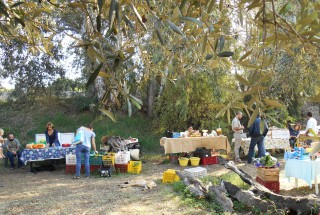 Saturday Farmer's Market near Catania Sicily